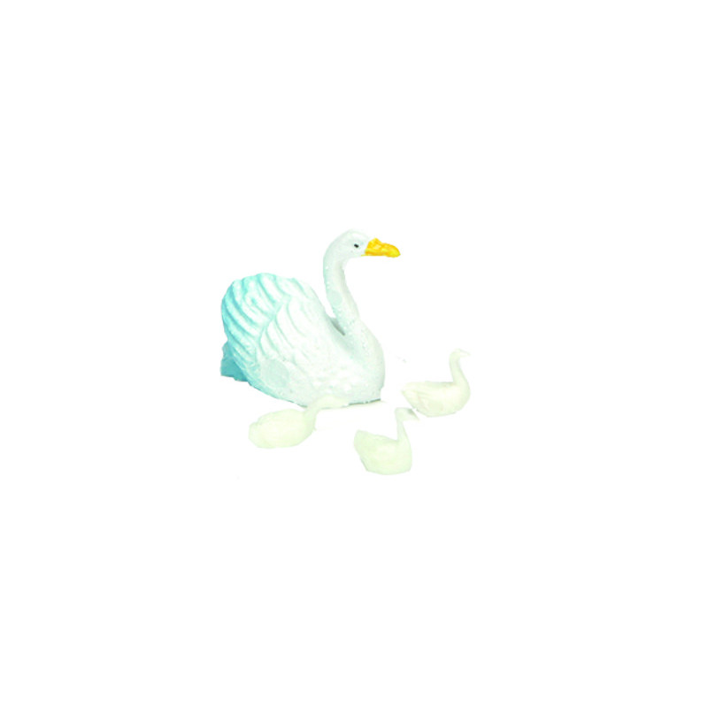 CRIA CISNE 3CMS.