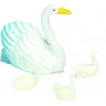 CRIA CISNE 3CMS.