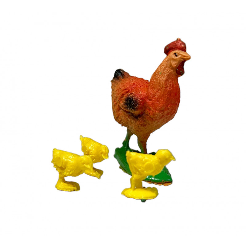 CRIA GALLINA 4CMS.