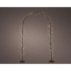 Arco