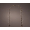 Arco