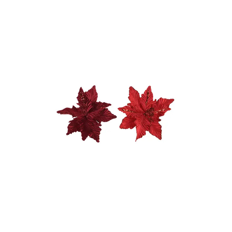 Poinsetia