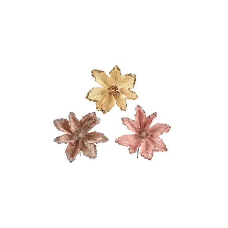 Poinsetia