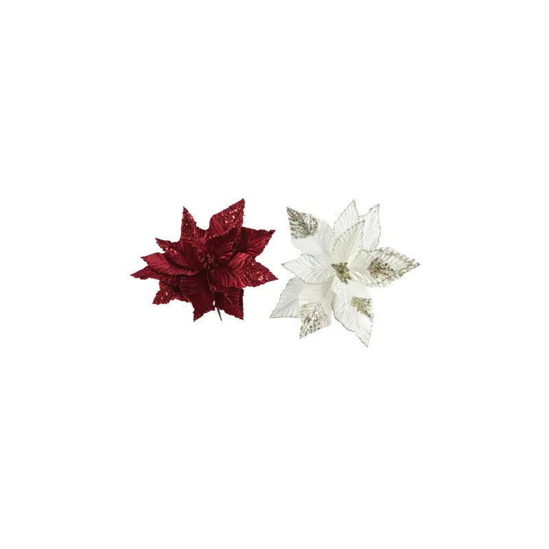 Poinsetia