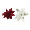 Poinsetia