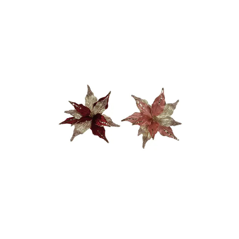Poinsetia