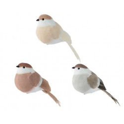 Pájaro