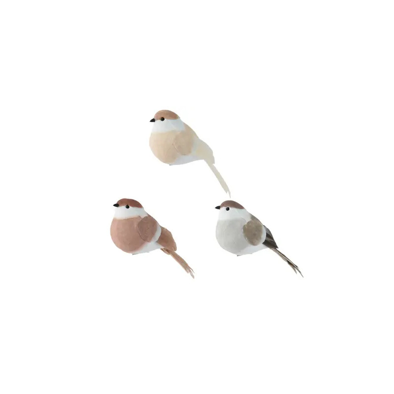 Pájaro