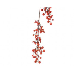 Ramaje berries