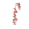 Ramaje berries