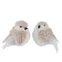 Pájaro