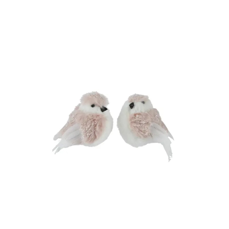 Pájaro