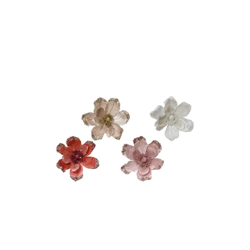 Poinsetia