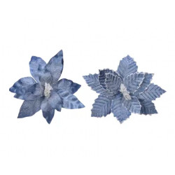 Poinsetia