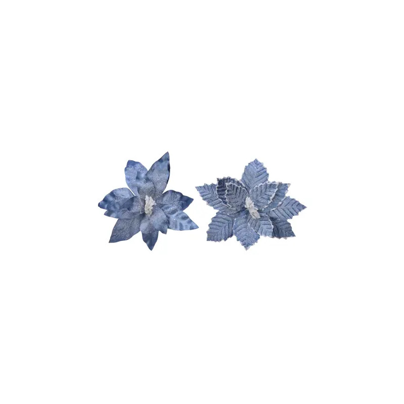 Poinsetia