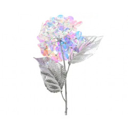 Hortensia irisada
