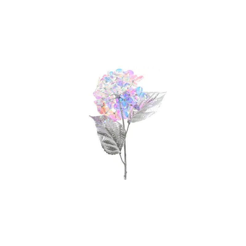 Hortensia irisada