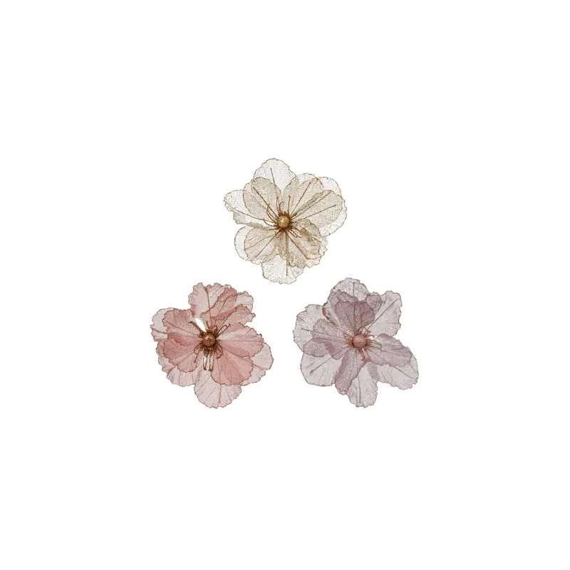 Amapola