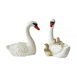 Familia de cisnes
