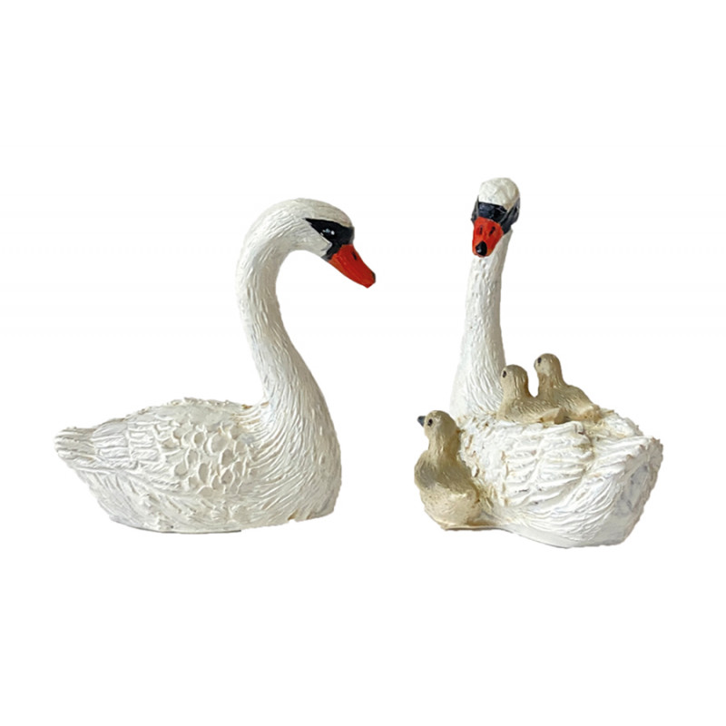 Familia de cisnes
