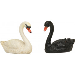 Pareja de cisnes