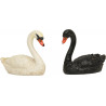 Pareja de cisnes