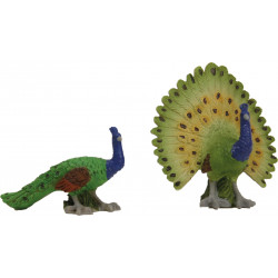 Pavos reales, grandes