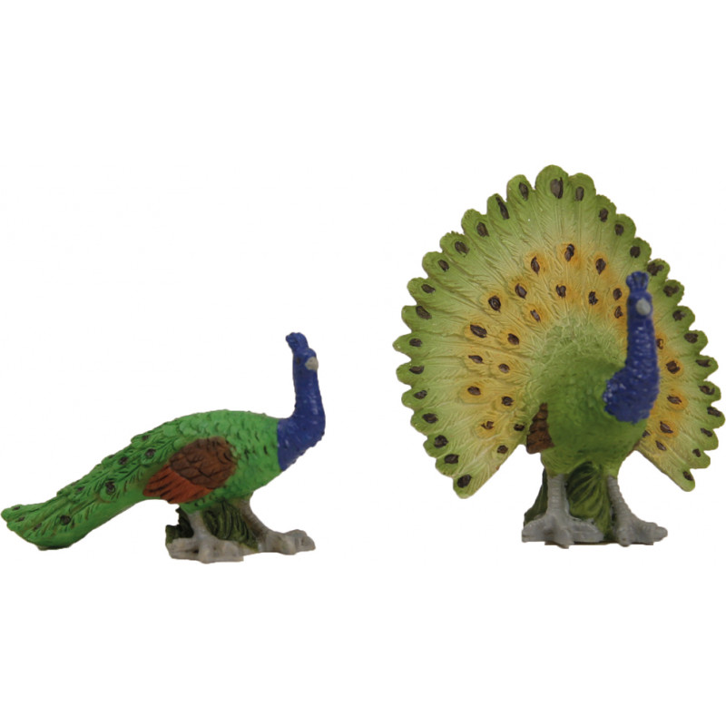 Pavos reales, grandes