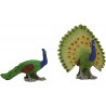 Pavos reales, grandes