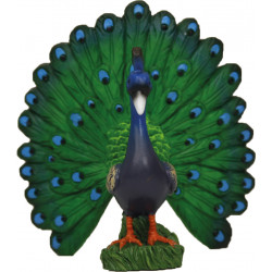 Pavo real
