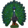 Pavo real