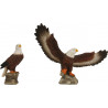 Pareja Águila