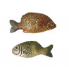 Peces pequeños