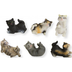 Gato
