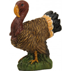 Pavo