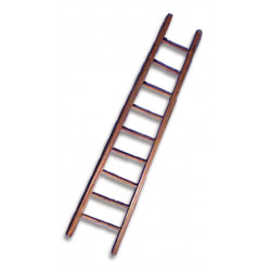 Escalera