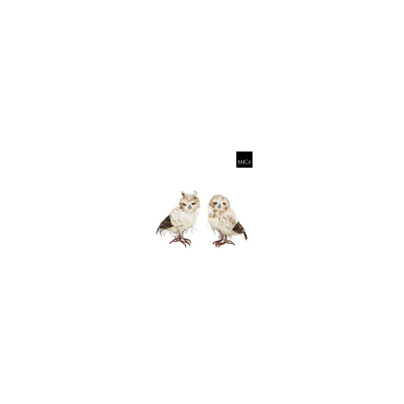 Buho
