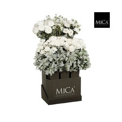 Flores
