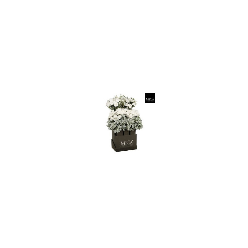 Flores