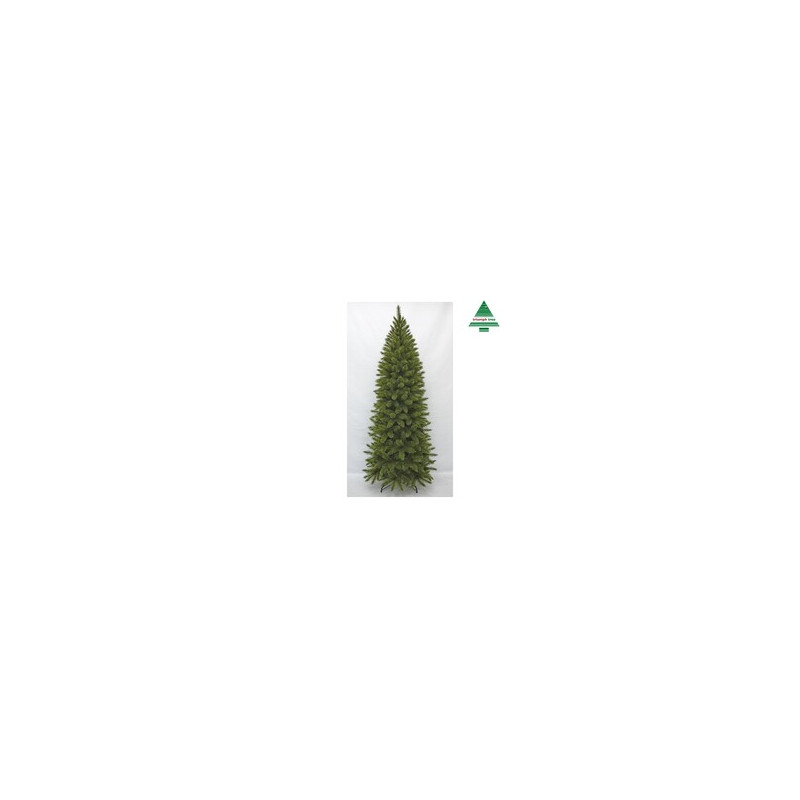 Abeto Bristlecone 215cm