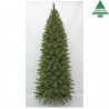 Abeto Bristlecone 215cm