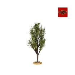 Árbol