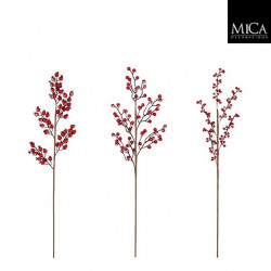 Rama berry 10cm