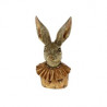 Conejo