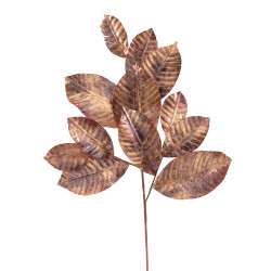 Rama magnolia