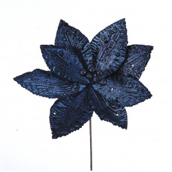 Poinsettia