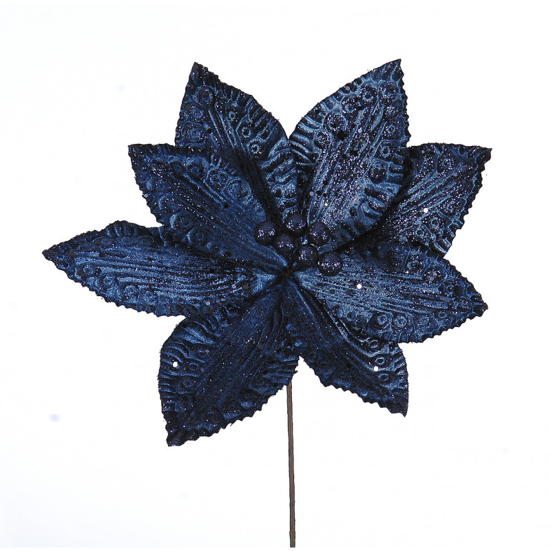 Poinsettia
