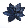 Poinsettia