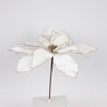 Poinsettia