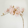 Ramaje oro/rosa